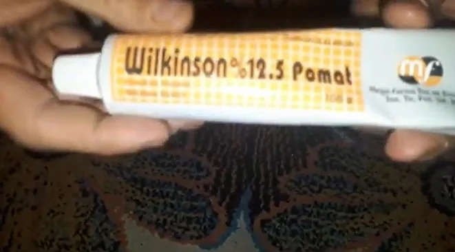 wilkinson-pomad-nedir-wilkinson-pomad-fiyat-2021